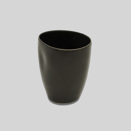 Steiner Cup