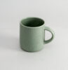 Steiner Cup