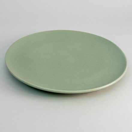 Large Dinner Plate