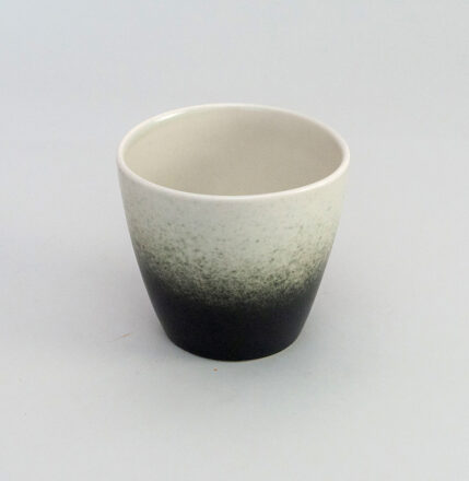 Steiner Cup