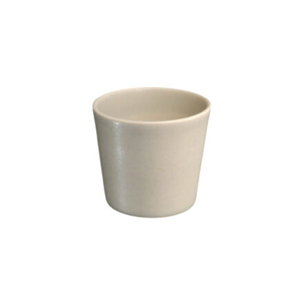Steiner Cup